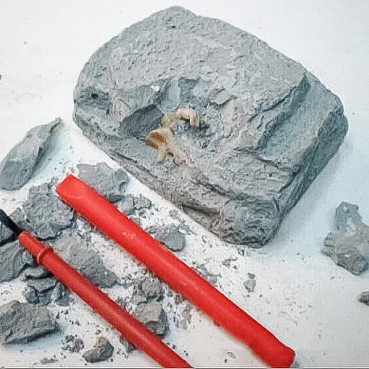 Бесплатная доставка динозавр Кость Скелет копать набор Fossil раскопки Сделай Сам