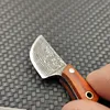 Damascus coating Mini Tiny Kitchen Knife paper letter cutter Sharpen Blade Keychain Fixed blade Small Straight Knife Key Pendant ► Photo 2/6