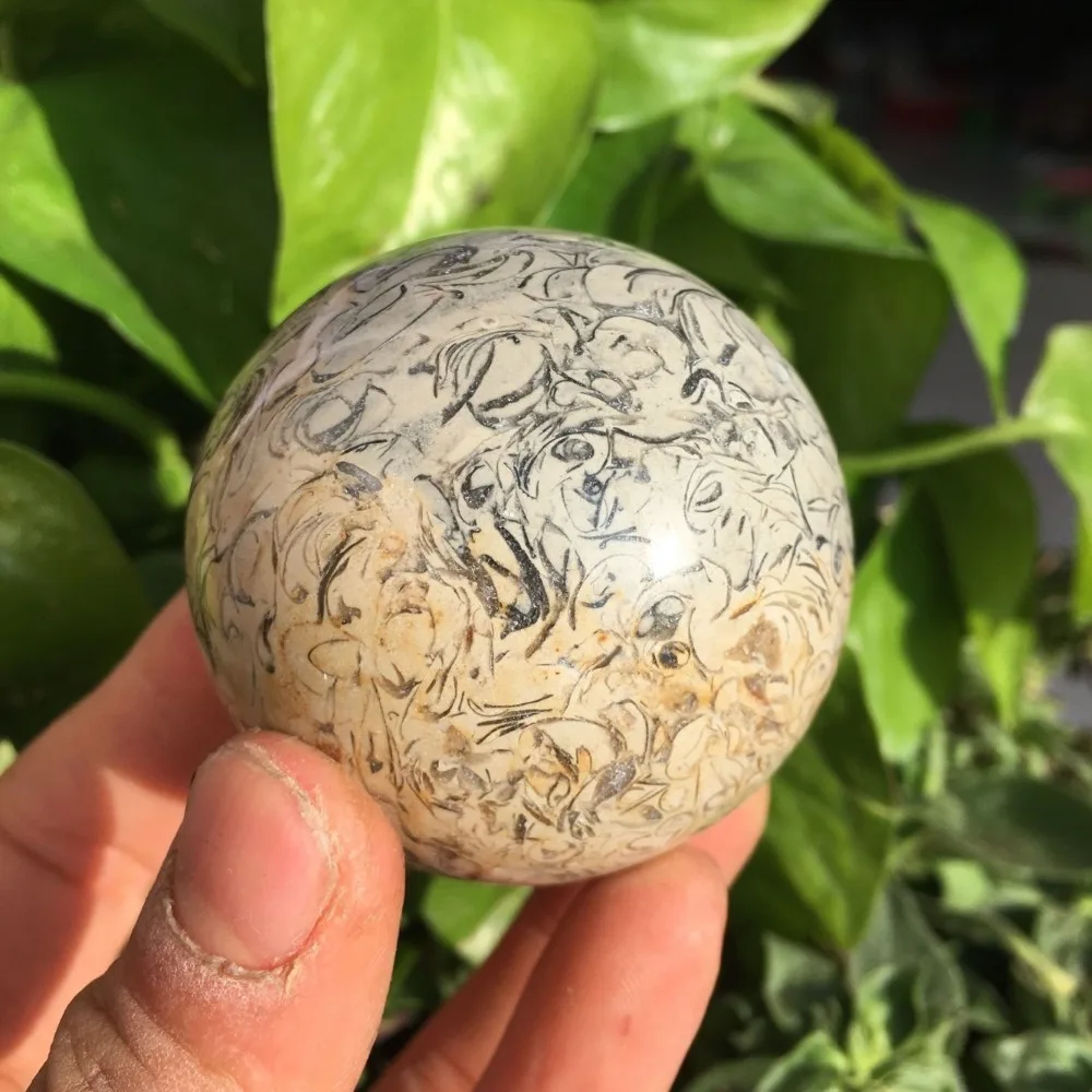 QQ图片20191231225549