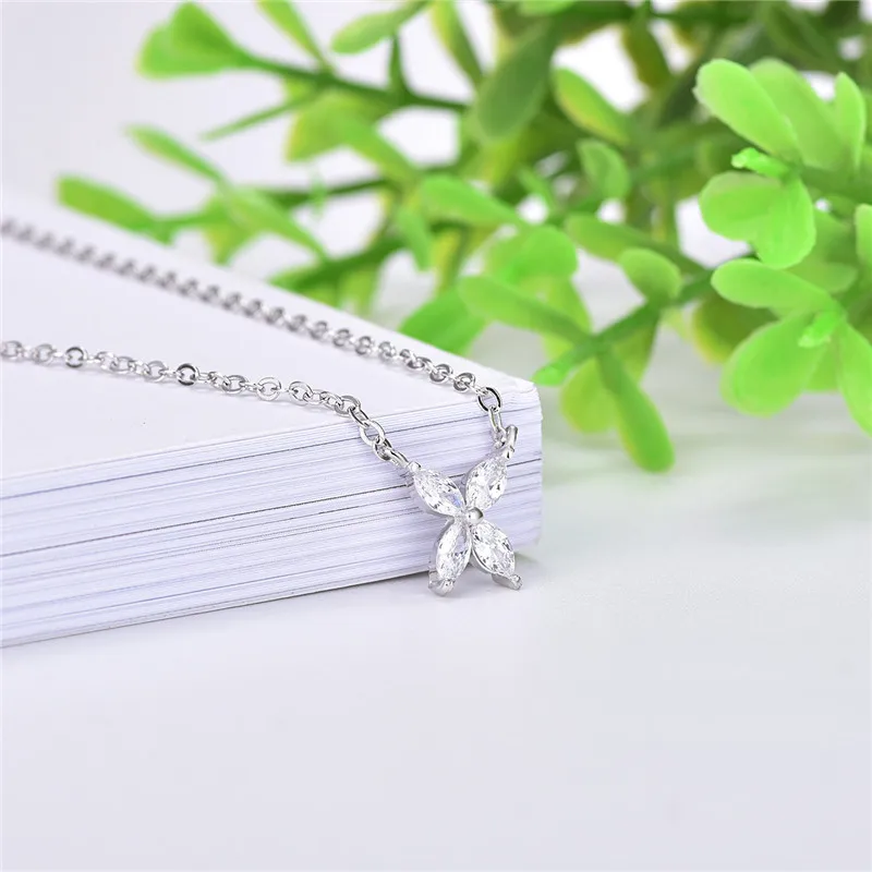 6003640572_694448036