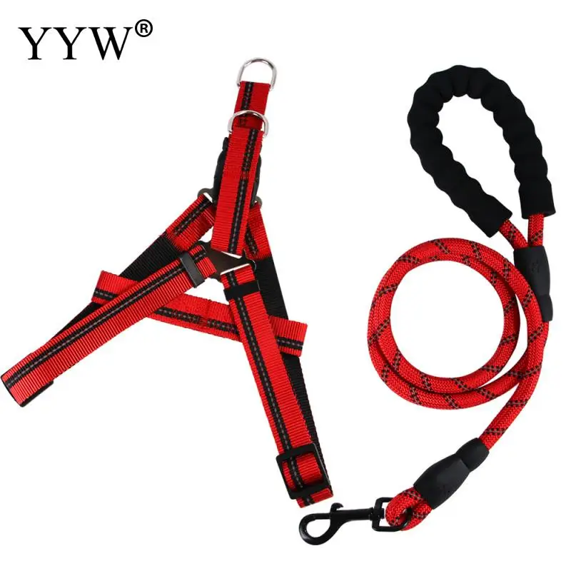 

Cute Sponge Dog Harness Leashes Sets Pet Collars Leads for Dogs Daily Training Walking Chihuahua Bichon Pet Dog Toy Supplies