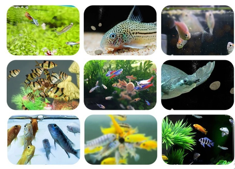 搜狗截图19年09月24日2053_1