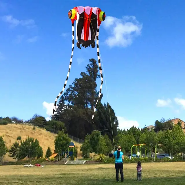 KITE-Large Easy Flyer Soft Kite for Kids-Colorful White Trilobite-It's Big! 30 Inches Wide with Two 130 Inches Long Tails 5
