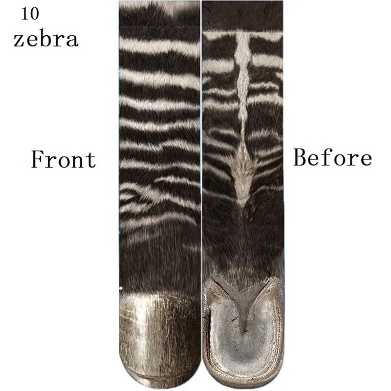 10-Zebra