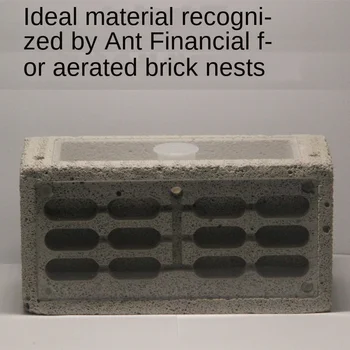 

Aerated Brick Ant Nest with Acrylic Pet Ant Living Ant Castle Suitable Profession Raise Queen