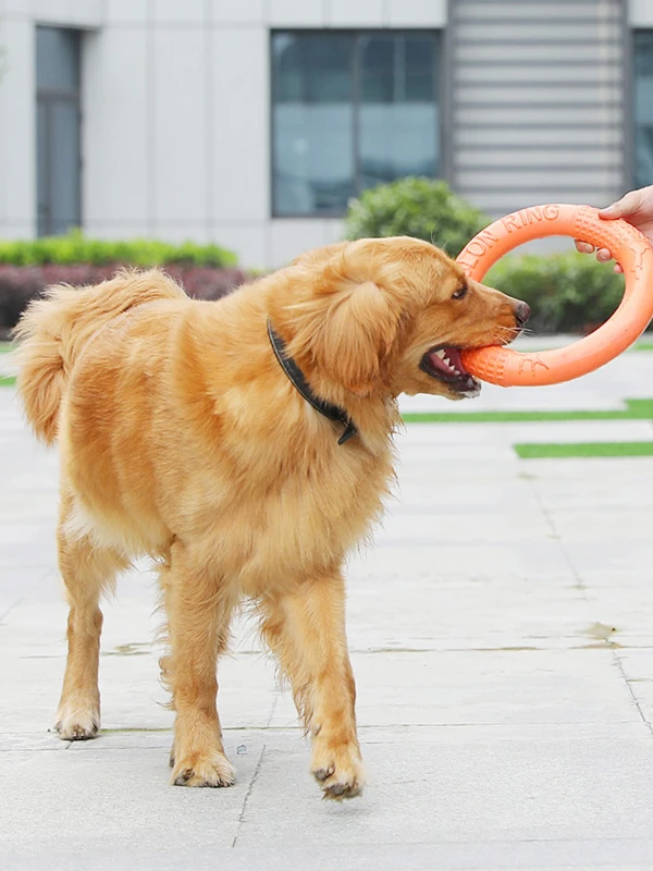Toy Training Toys Dog Motion Interactive Tool Portable Large Outdoors Dog Pet Training Dog EVA Flying Discs Pet Products Ring