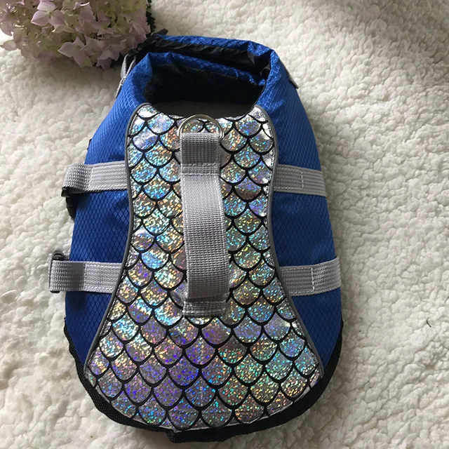 강아지의 수중 안전을 위한 필수품