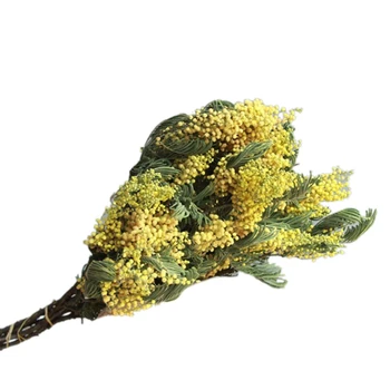 

5Pcs Christmas Tree Flower Acacia Forest Natural Dried Flower Dried Branch Real Flower Wedding Decoration