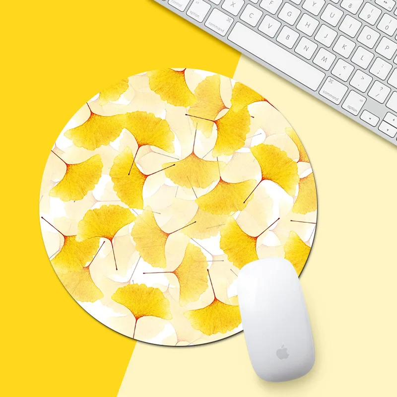 8899747316_2104115866