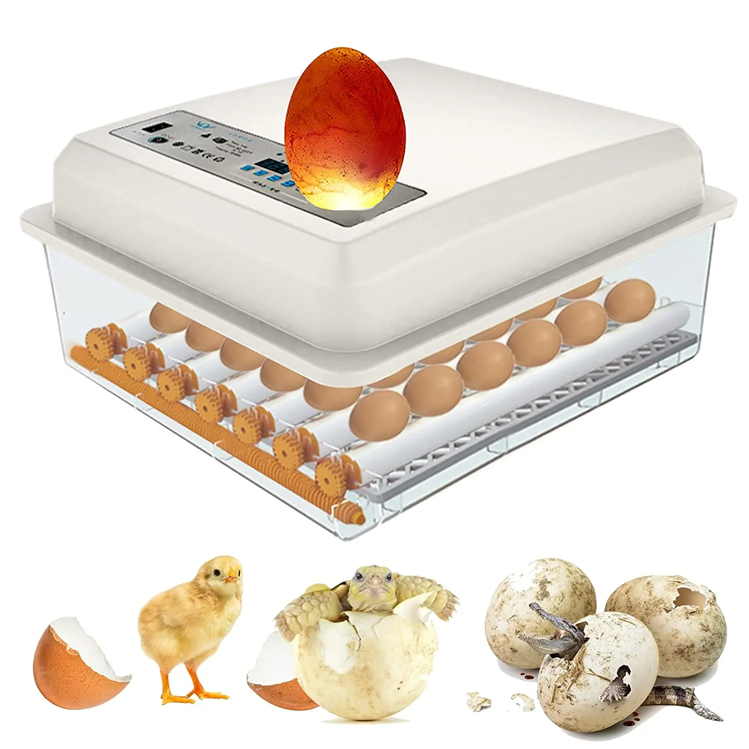Fully Automatic 36 Eggs Incubator Brooder Egg Tray Hatching for Chick Birds Farm Mini Poultry Machine | Дом и сад