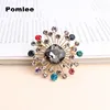 Pomlee 4 Colors Choose Rhinestone Vintage Fireworks Brooches For Women Coat Elegant Brooch High Quality Jewelry Autumn Pins ► Photo 1/6