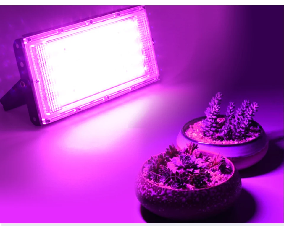 Description Picture 6 of item100W LED Grow Light PhytoLamp For Plants Tent Flower Seeding AC 220V 240V Full Spectrum Lamp Indoor Outdoor Floodlight Grow Box