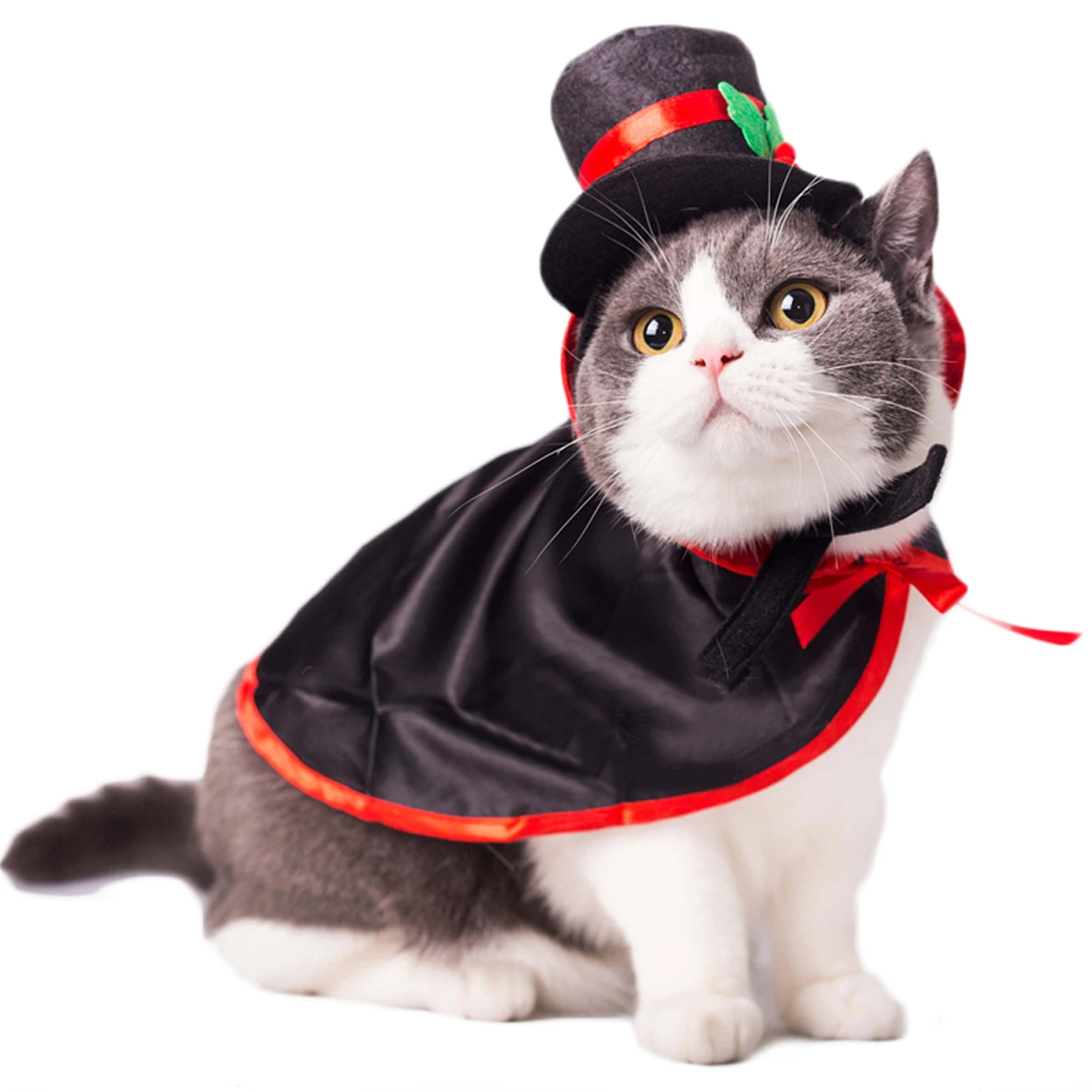 

Creative Pet Costume Includes Cloak Hat Party Costume For Small Dogs & Cats Pet Party Clothing Accessories For Halloween Cosplay