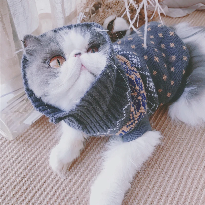Cat Sweater|Cat Clothing| - AliExpress