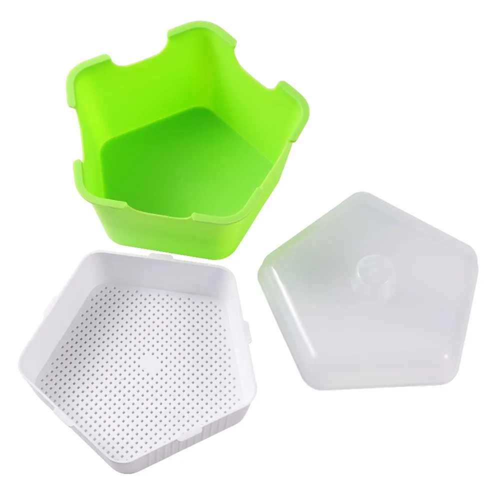 Pentagonal Plastic Sprout Planting Pot Box Bean Pea Sprouter Seedling Tray Wheat Grass Cat Grass Nursery Growing Germination Kit