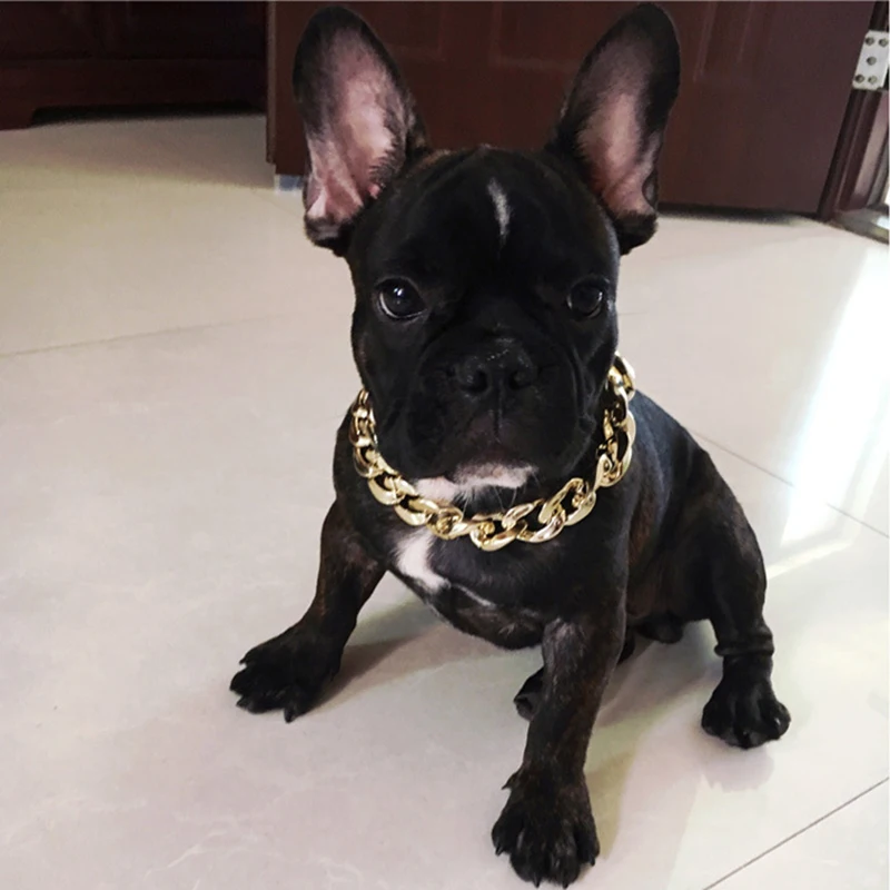 Pet Necklace Thick Gold Chain Plated 