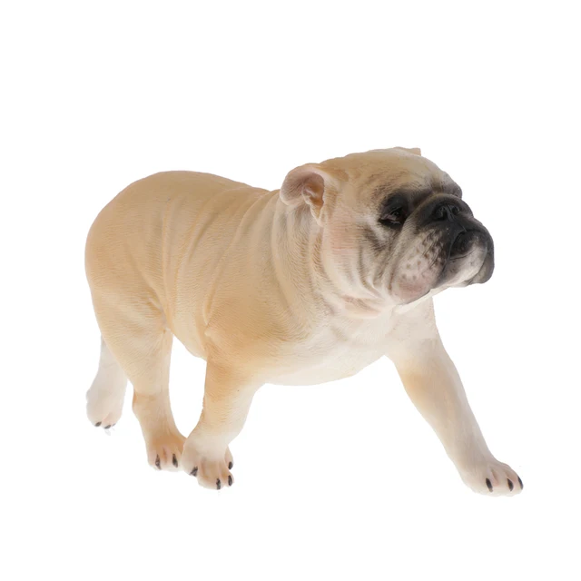 Wildlife Animals Action Figure，Realistic Animal Figurines Model Toy, Home Office Decorations 6