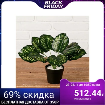 

Bush in the pot "diffenbachia" 9,5*21 cm 4457704