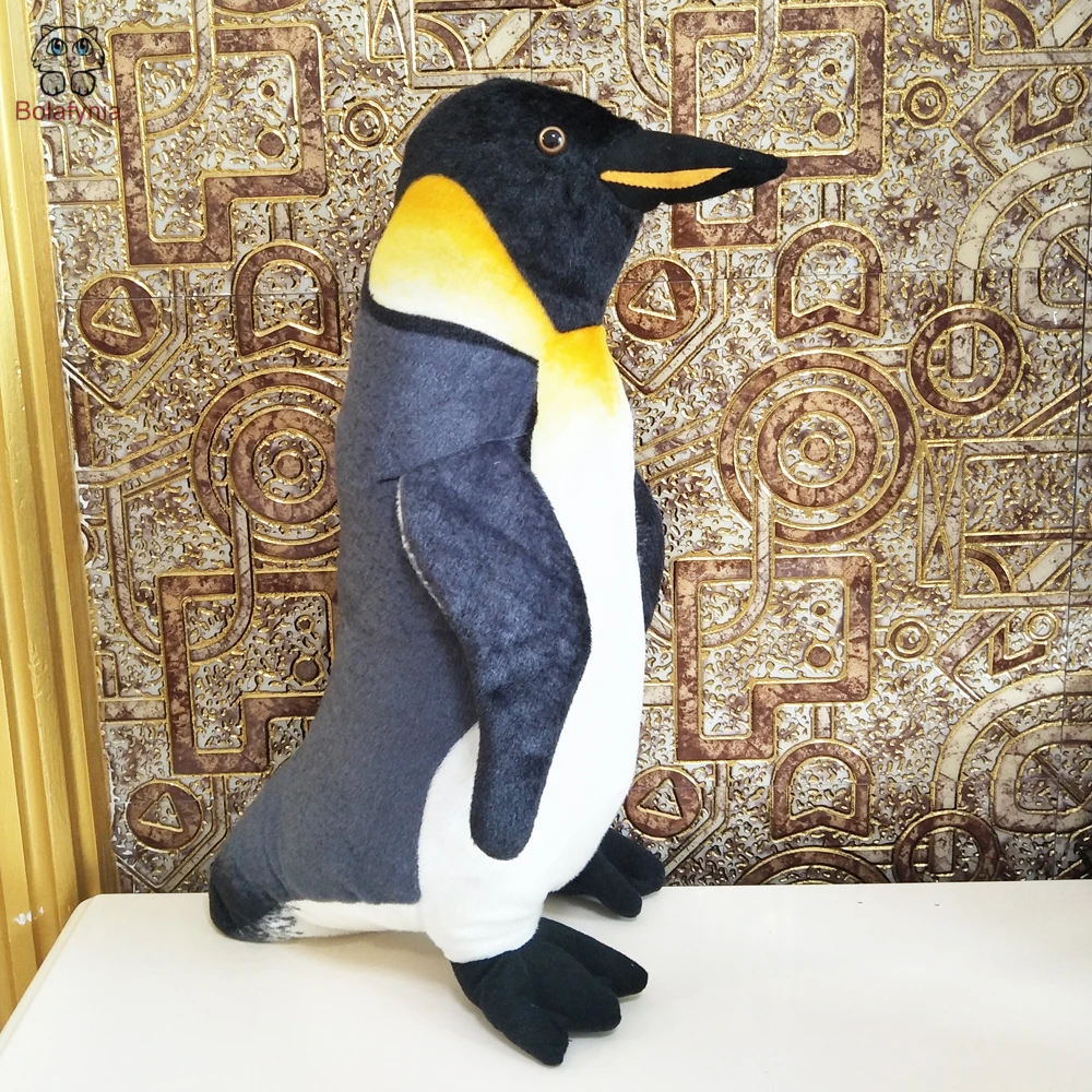 IMG20190808160929