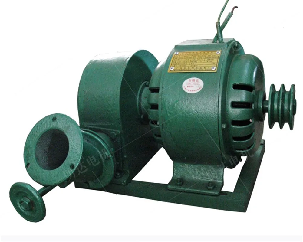 Low Speed 1000w 220V Hydroelectric Generator 1