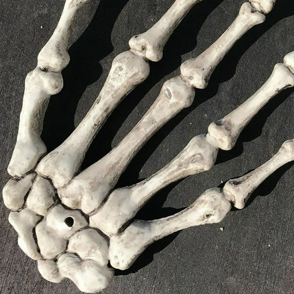 1 шт. рука скелета с черепом кости Хэллоуин Dec, человеческая анатомическая кость медицинская модель скелета медицинская помощь обучения изображение Анатомия эскиз