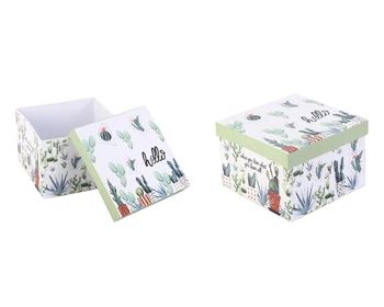

Bosphorus Storage Box, Italian Design, Cactus Pattern, Square Model