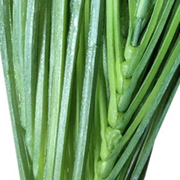 

3PCS Simulation Plant Spring Grass Leek Leaf Plant Wall Bunch Project Arrangement Flower Arrangement Leaf Material