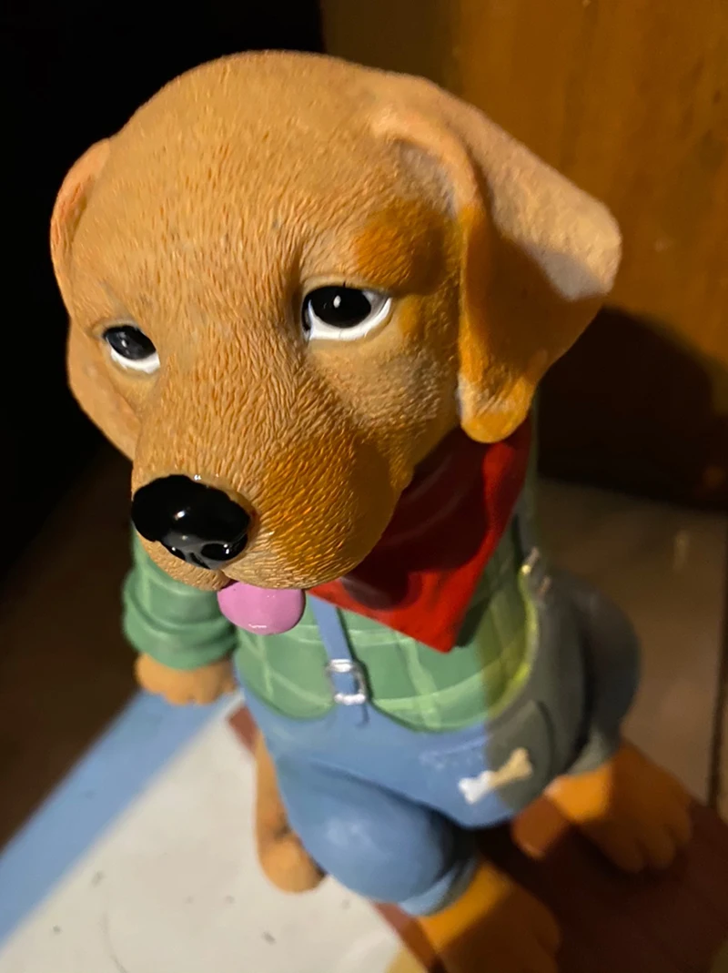 O1CN012pHRd91GR5Mry5O99_!!0-rate