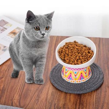 

NEW Ceramic Tilted Elevated Cat Dog Bowl Raised Cat Food Water Bowl Dish no spill Pet Comfort Feeding Bowls with Mat