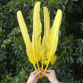 

Hot Sale Wholesale 10pcs Rare Yellow Pheasant Feathers 50-65cm/20-26inches For Wedding Christmas Home Craft Decoration