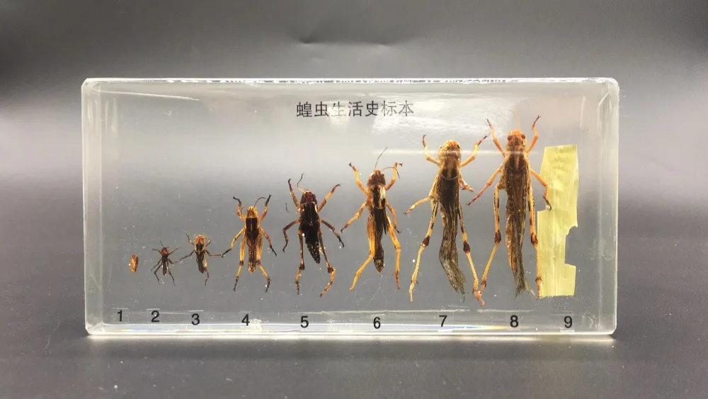 微信图片_20200912112513