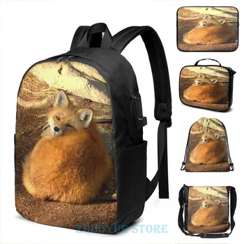 

Funny Graphic print Soaking up the setting sun USB Charge Backpack men School bags Women bag Travel laptop bag