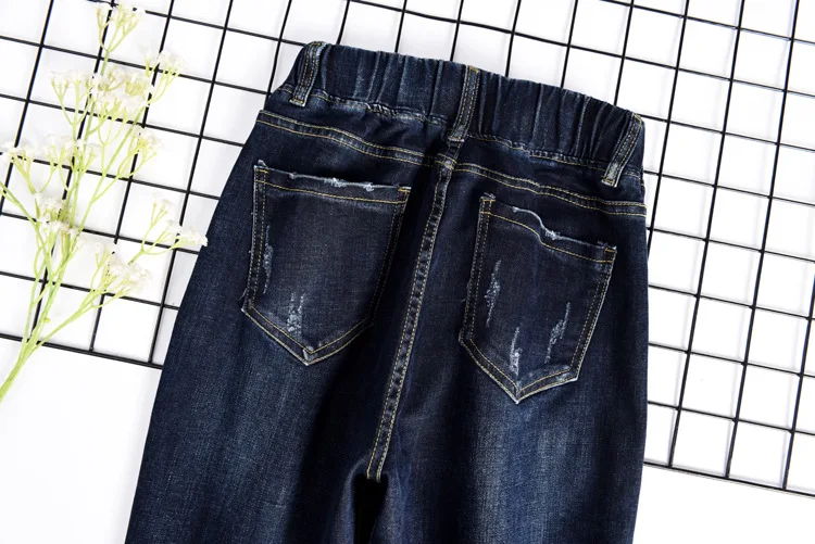 11774353501_197110652