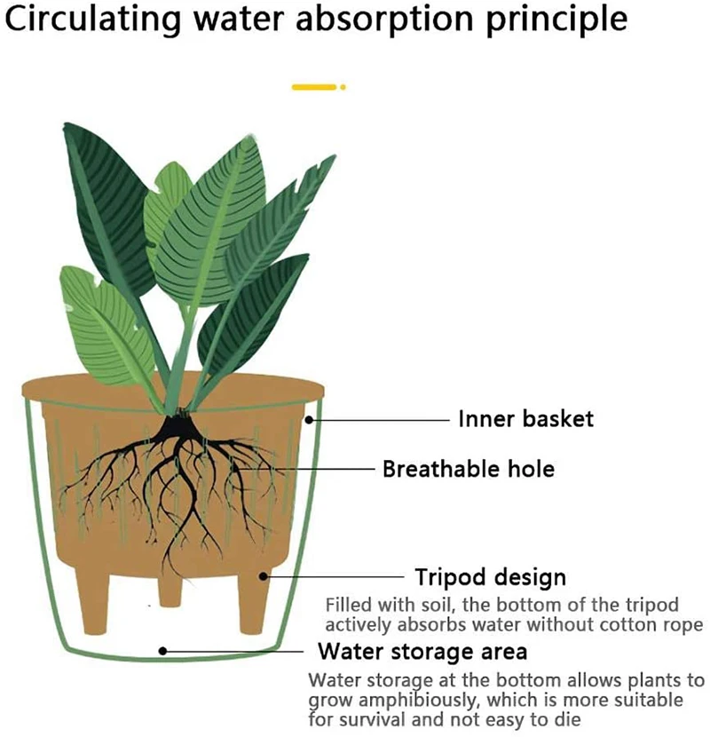 61FoRky3NZL._AC_SL1000_