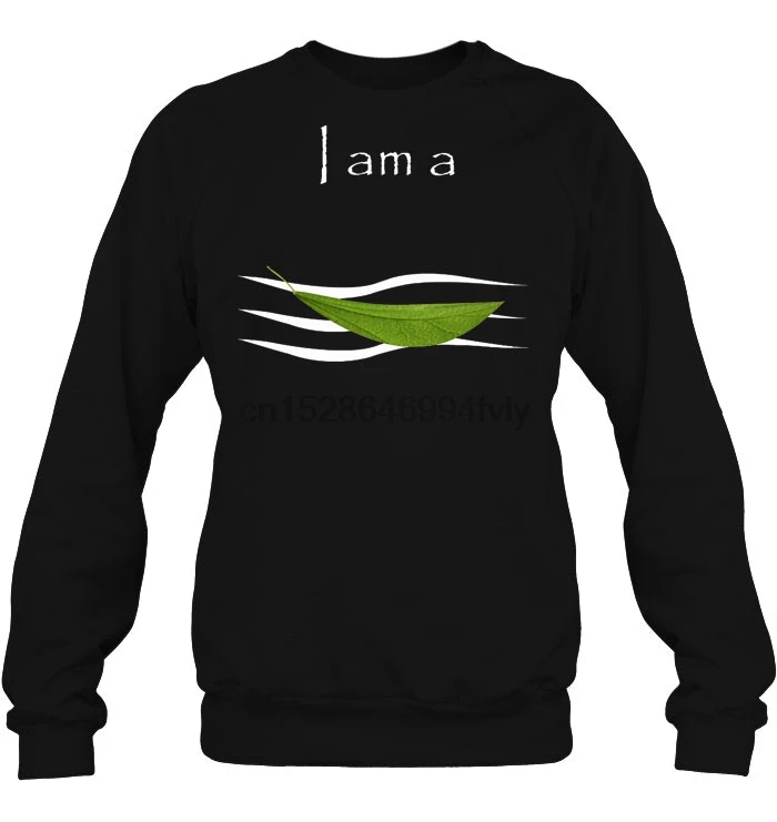 Мужская толстовка с капюшоном I Am A Leaf On The Wind женская уличная одежда |