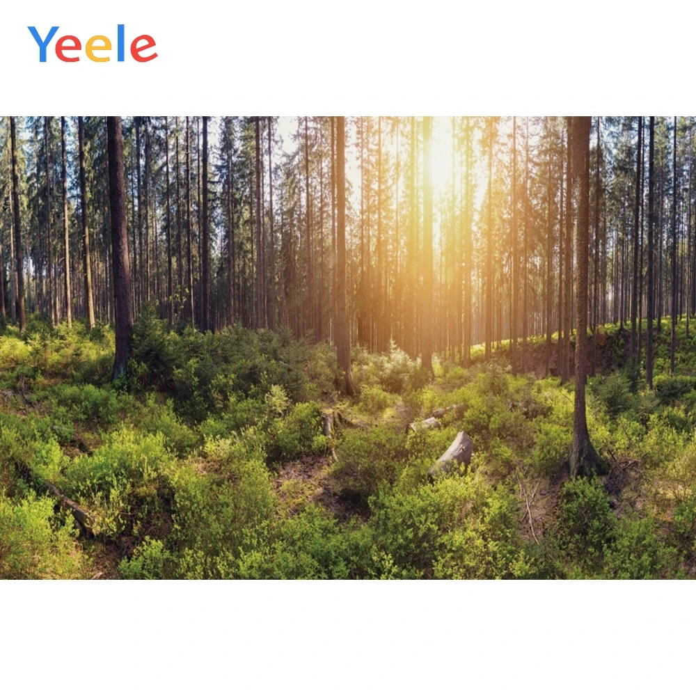 Фоны для фотосъемки Yeele с изображением пейзажа леса лужайки солнечного света