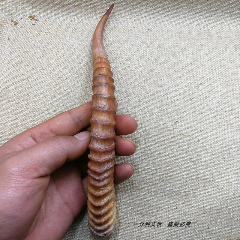 Дикий рог козы ручка Рог резьба сырье нож DIY Руль кусок zhenzhai exorcism Традиционная китайская медицина