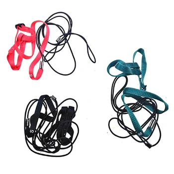 

Colorful Parrot Bird Collar Harness Adjustable Hamster Turtle Lizard Traction Rope Reins