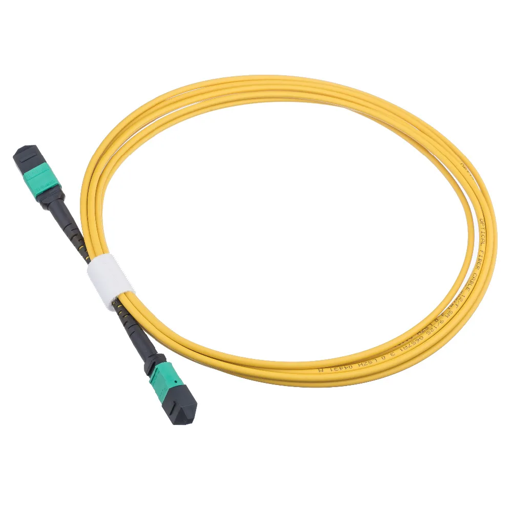 Fiber  Patch Cord (8)