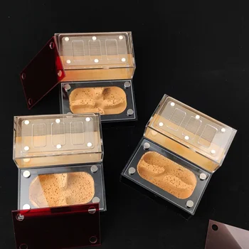 

Flat Ants Farm Ants Nest Acrylic&Concrete Ants House For Messors Camponotus Pheidole Ants Under Ground