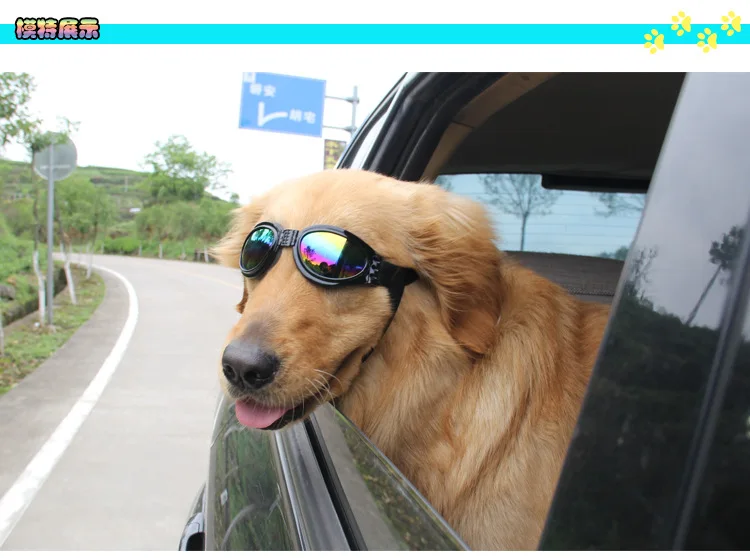 Аксессуары для домашних животных, солнцезащитные очки Gafas de sol plegables para perros y mascotas gafas de protección para perros gafas de sol UV 6 co