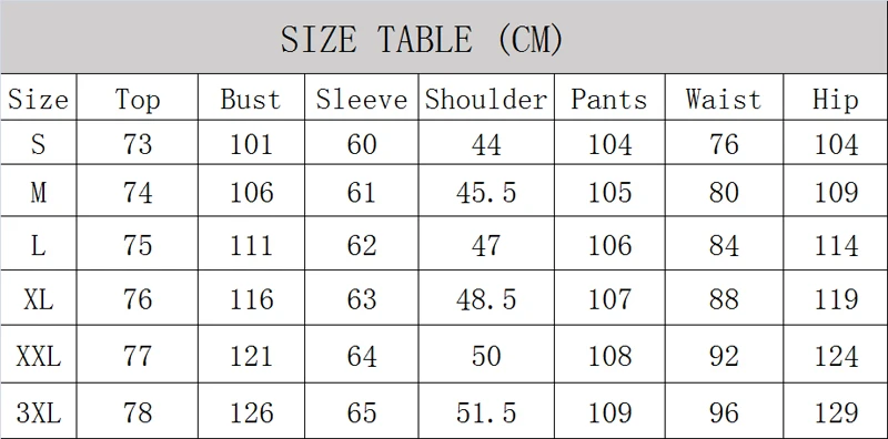 Men Casual Suit Long Sleeve T Shirt+Pants Solid Male Tracksuit Set Men's Brand Clothing 2 Pieces Sets Sweatusuit