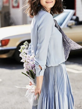 

Women Chiffon Shirt Women's Design Sense Non-Mainstream Young 2020 New Style Autumn Retro Snakeskin Ribbon Bow Top