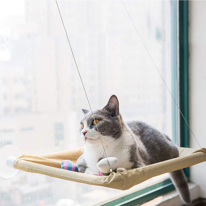 suction cup cat window seat