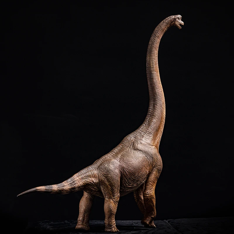 短納期 早者勝ち Frp 立ち向かうブラキオサウルス Brachiosaurus 恐竜オブジェ 博物館オブジェ 店舗 イベント向け 包装無料 送料無料 Drchibornfree Com