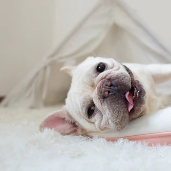 

Soft Pet Dog Blanket Cat Bed Mat Long Plush Warm Double Layer Fluffy Deep Sleeping Cover for Small Medium Large Dogs Mattress