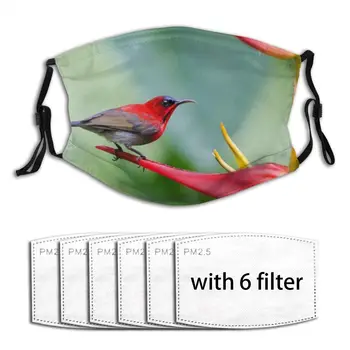 

Humming Bird Outdoor Washable Air Pollution Unisex Anti-Dust Mouth Masks Anti-ultraviolet Mask For Cycling Mascarillas