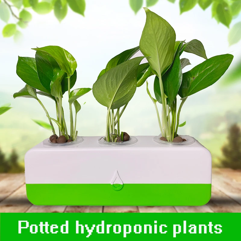 

Hydroponic plant flowerpot indoor hydroponic desktop green Plant potted soilless cultivation planting gardenbox