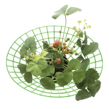Strawberry Holder Strawberry Plant Stands to Keep Fruit Elevated to Prevent Rot Vegetable Stand for Balcony Garden