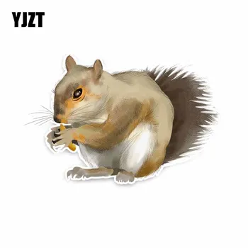 

YJZT 10.1CM*15.5CM Cute Grey Squirrel PVC Animal Car Sticker Decal C29-0475